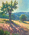 Algarve Tree