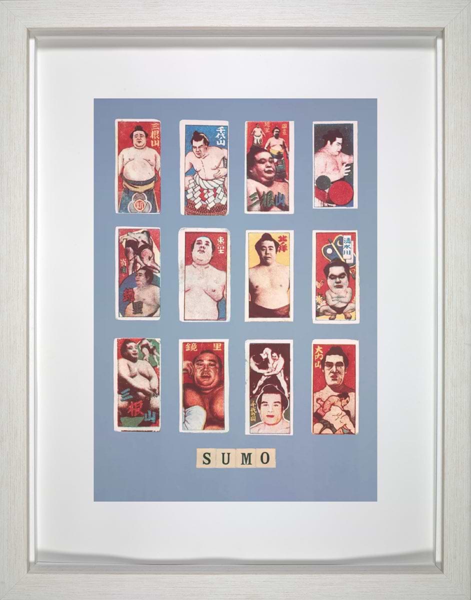 S Is For Sumo, 1991