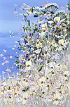 Peaceful Springtime