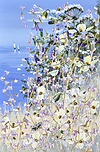 Peaceful Springtime