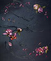 Flower Day Dream