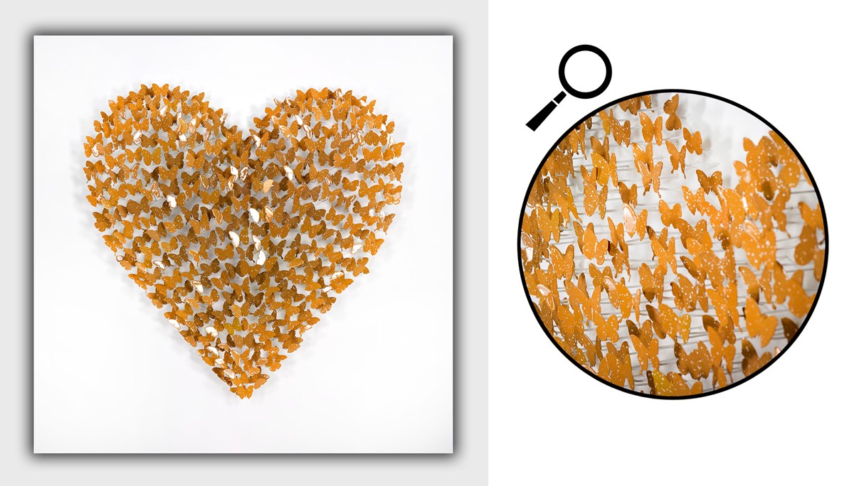 Butterfly Heart II