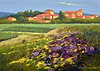 Fiori Estivi