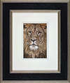 Born Ruler (Framed)