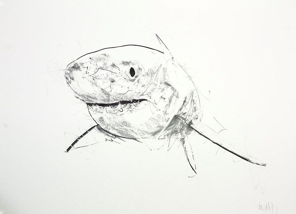 Apex (Study)