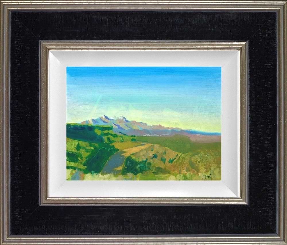 View Over The Canigou
