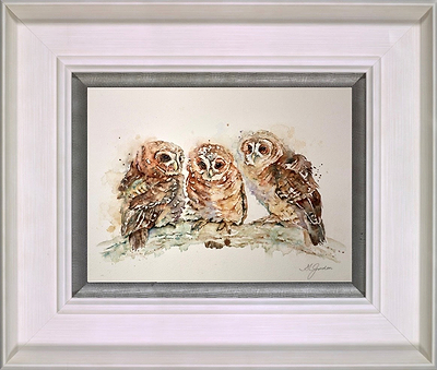 Waiting- Trio of Tawny Owlets (Framed)