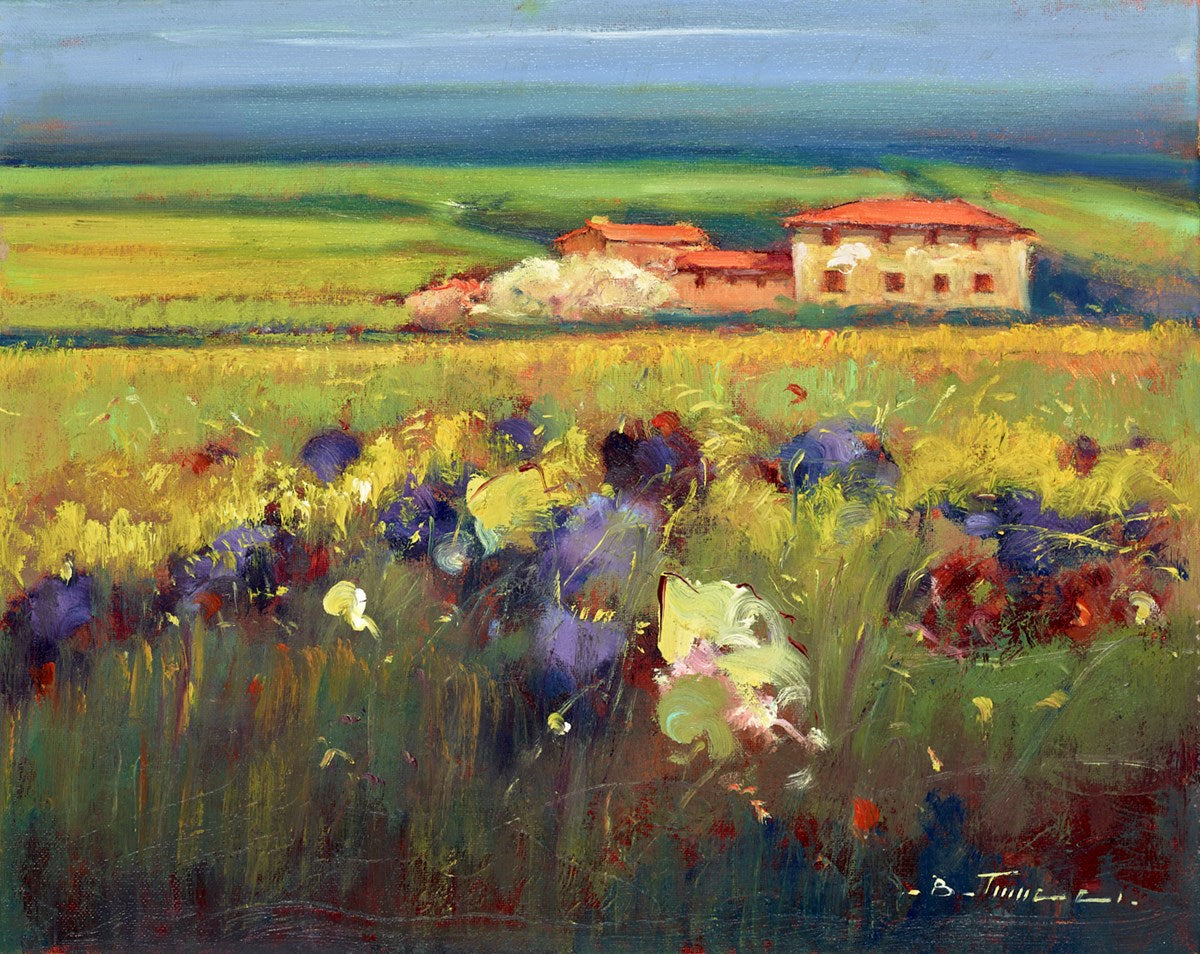 Campi Floreali II