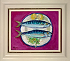 Mackerel, Sennen Cove