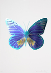 The Souls I - Westminster Blue/ Oriental Gold/ Topaz