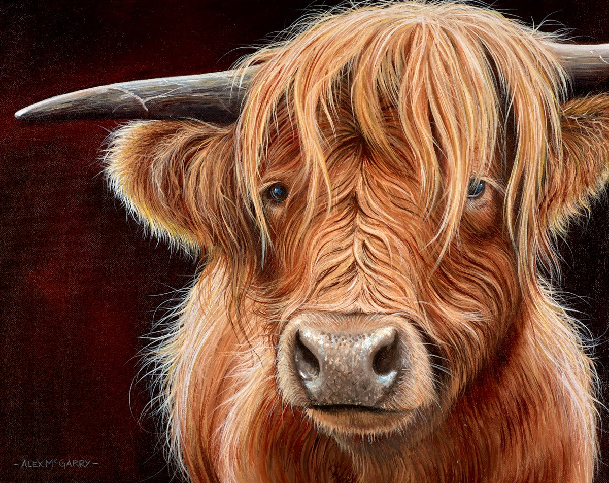 Highland Cow II