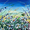 Wild Daisies