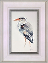 Statuesque Grey Heron (Framed)