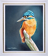 The Kingfisher (Framed)
