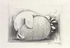 Strawberry and Dreams III (Sketch)