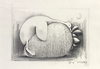 Strawberry and Dreams III (Sketch)
