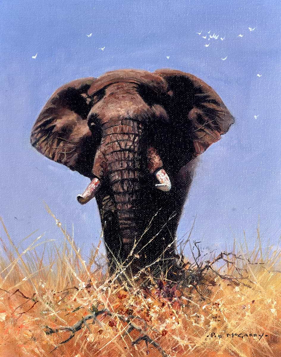 High Noon In The Mara