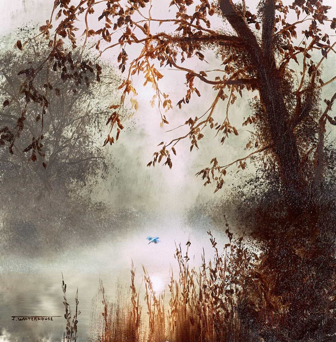 The Kingfisher