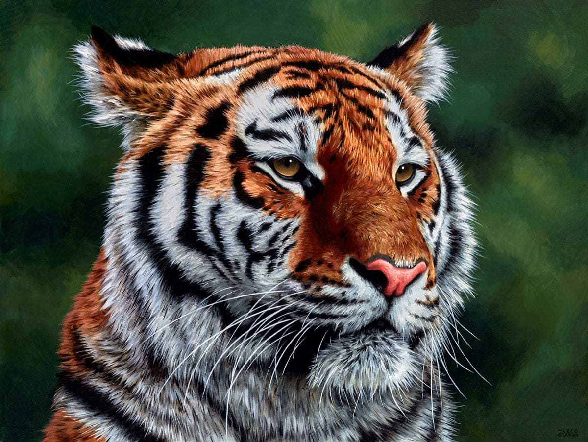 Eye Of The Tiger