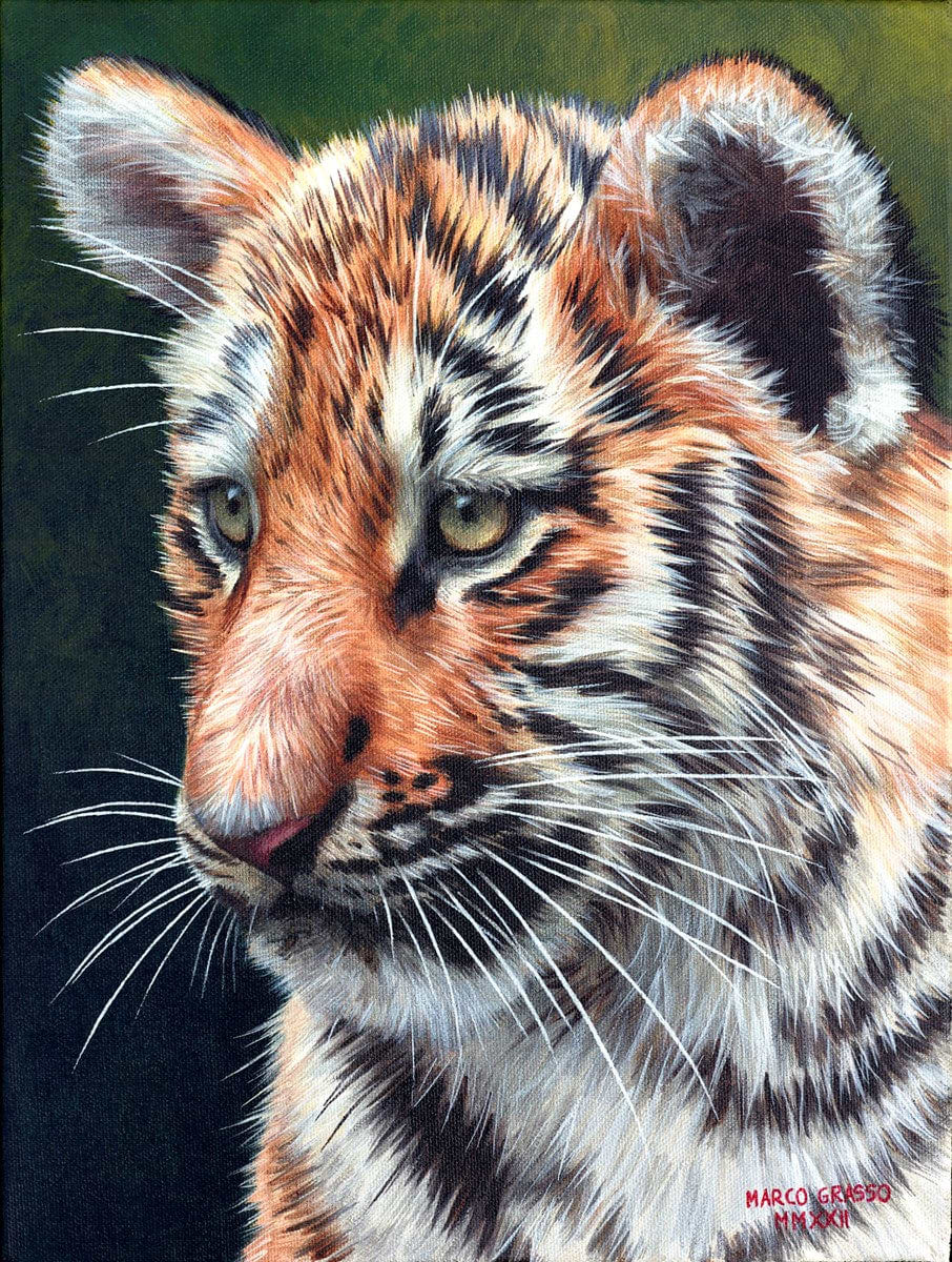 Tiger Cub