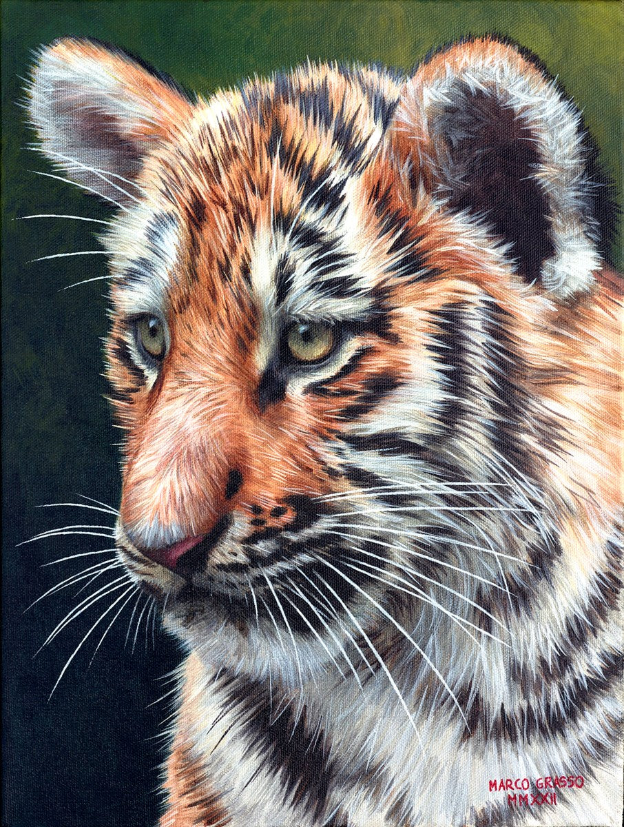 Tiger Cub