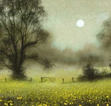 Buttercups (Study)