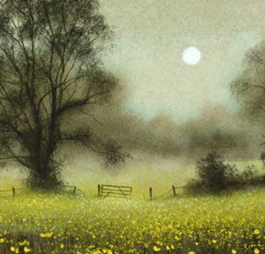 Buttercups (Study)