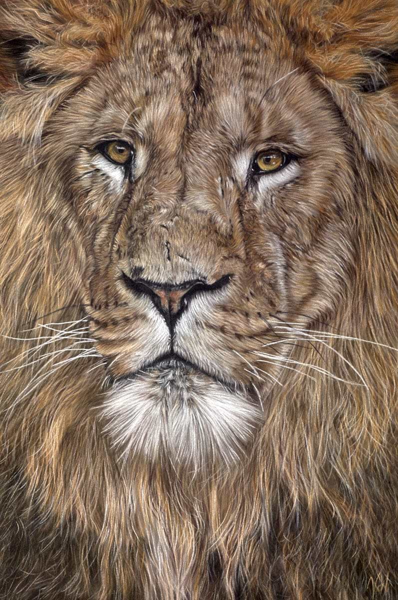 Born Ruler