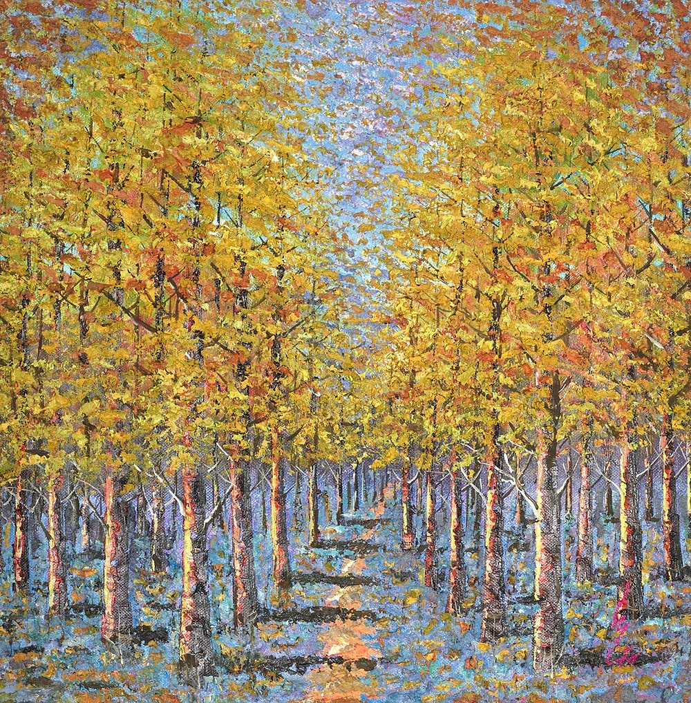 A Woodland Pathway