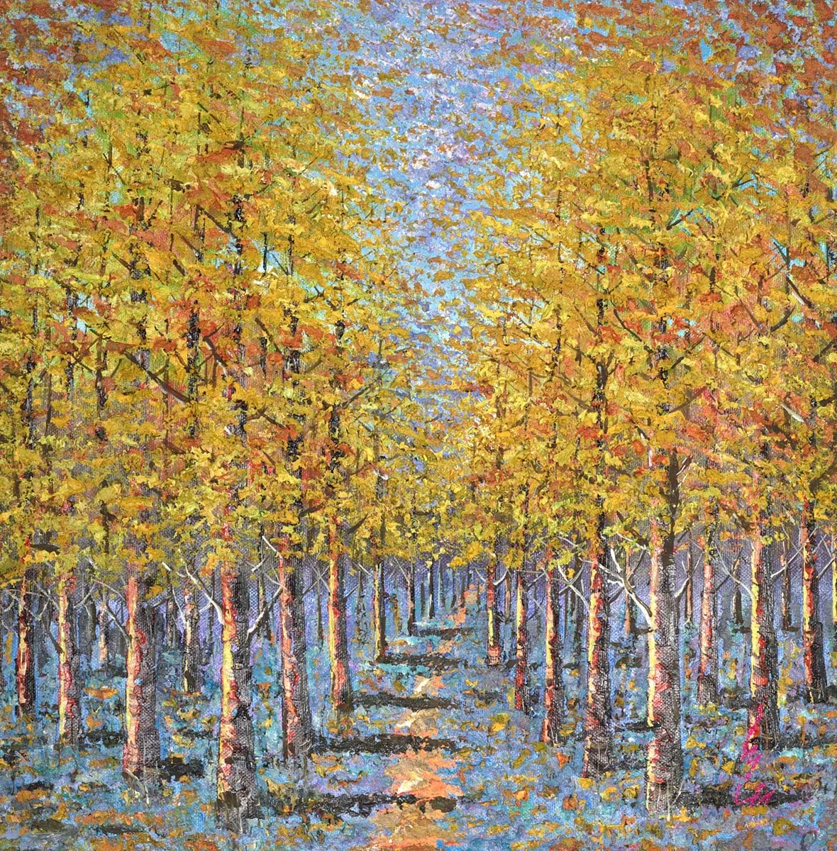 A Woodland Pathway