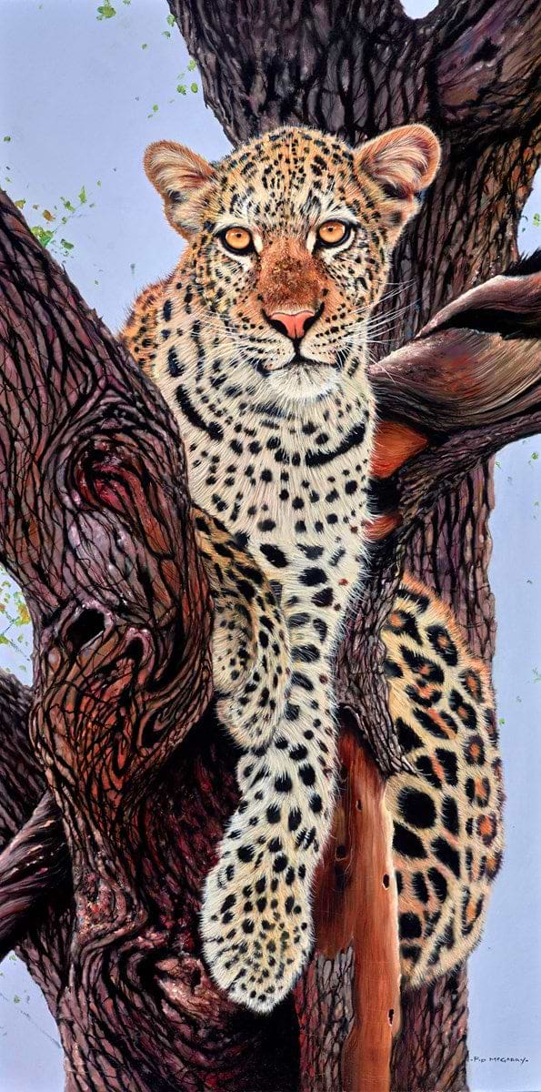 Leopard In Tree
