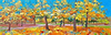 Autumn Paths