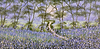 Whispers of Spring II