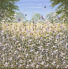 Serene Meadow III