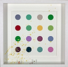 Vandalised- Spots