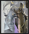 Golden Stare (Framed)