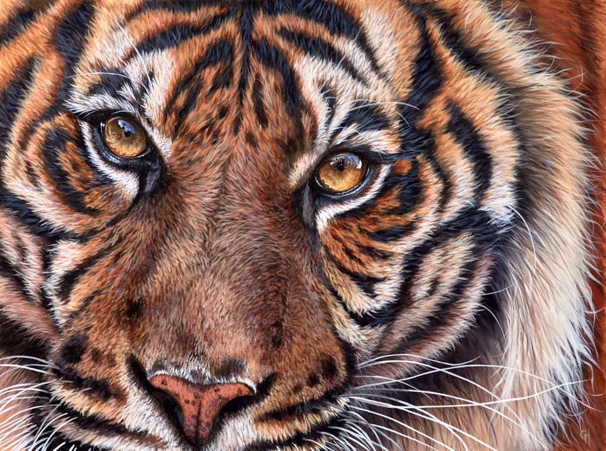 The Eyes Never Lie...