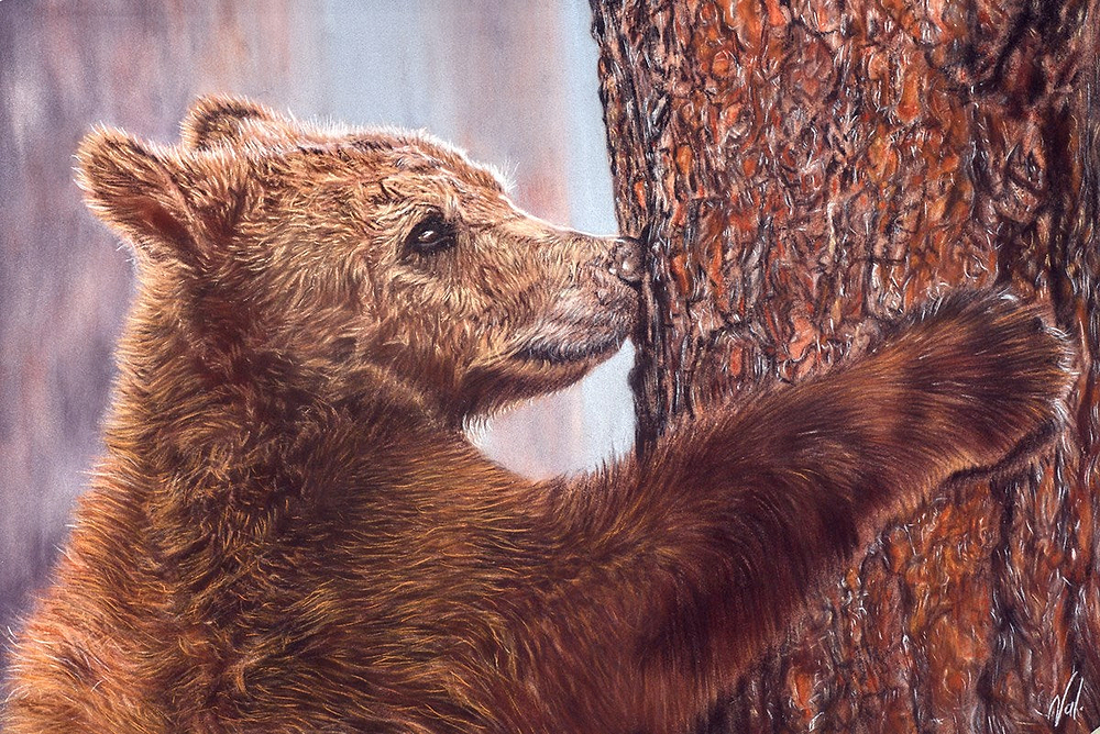 Tree Hugger