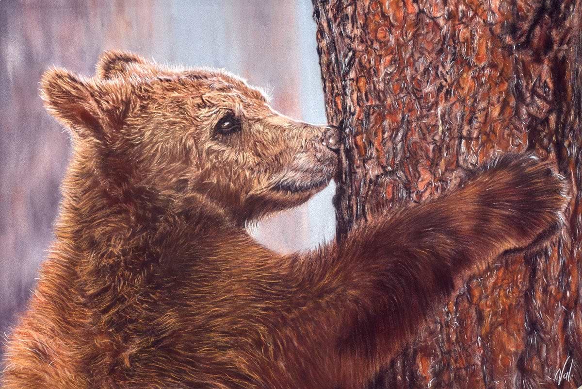 Tree Hugger