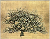 A Tree In Bloom V (Framed)