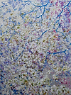 White Blossom