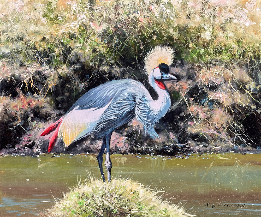 Crowned Crane
