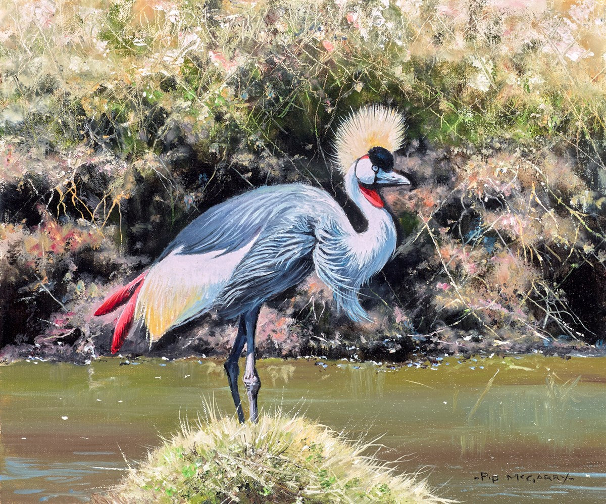Crowned Crane