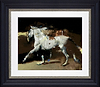 Arabian VI (Framed)