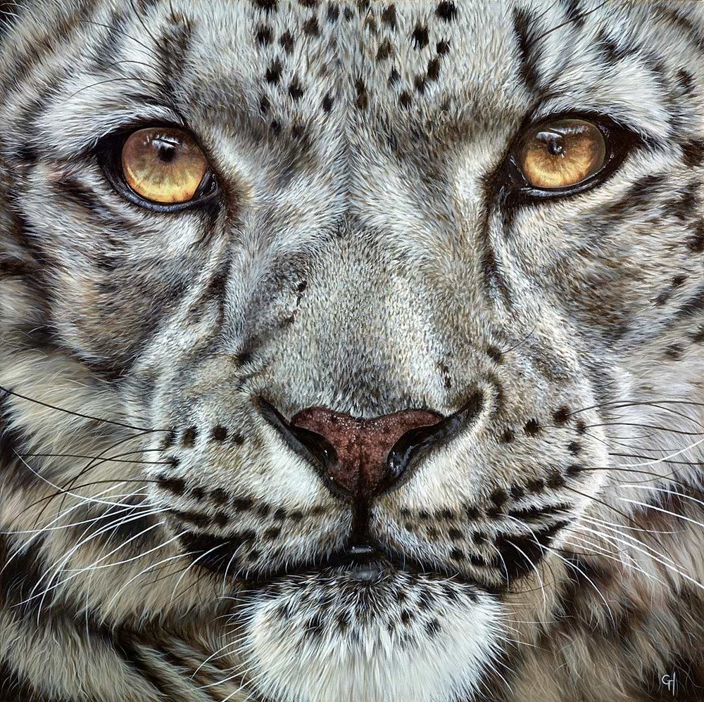 Cat's Eyes