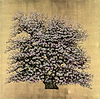 A Tree In Bloom III