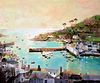 Coast Is Clear, Polperro