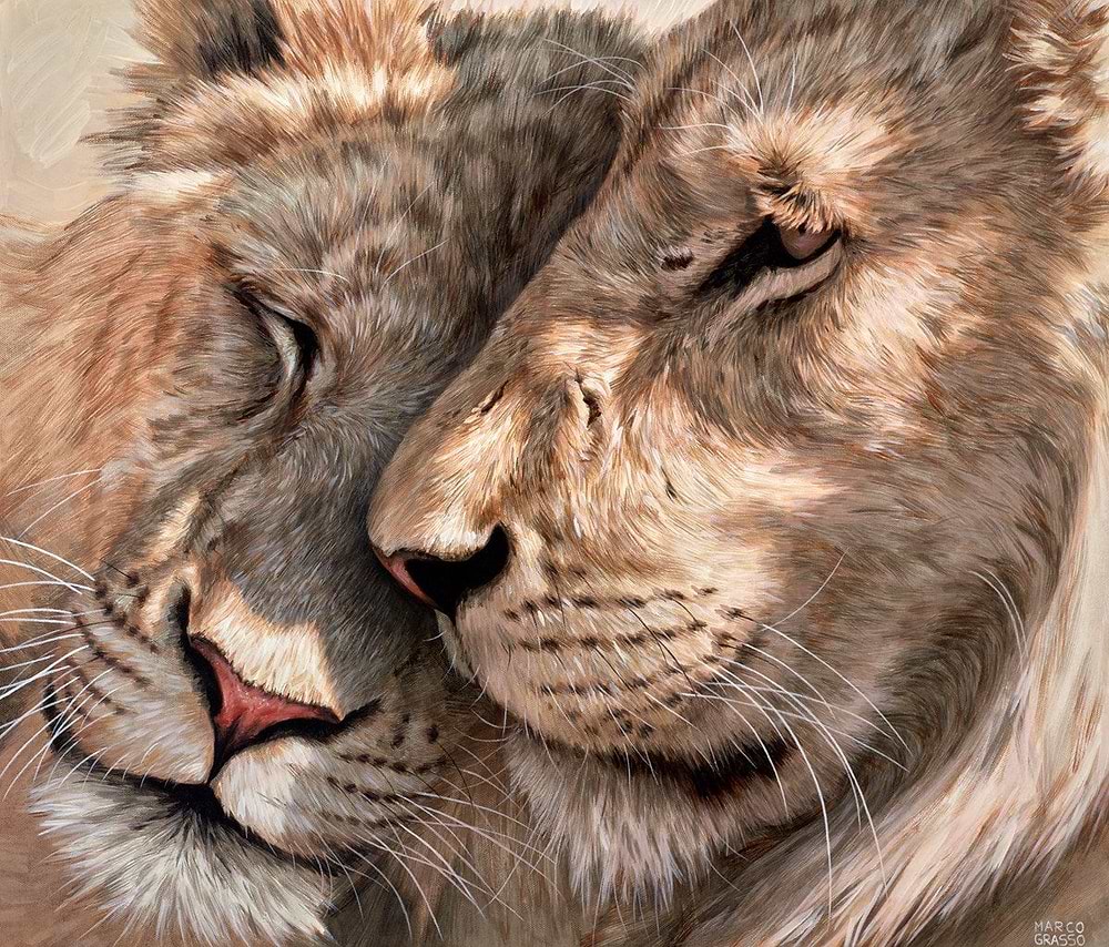 Looking After Each Other