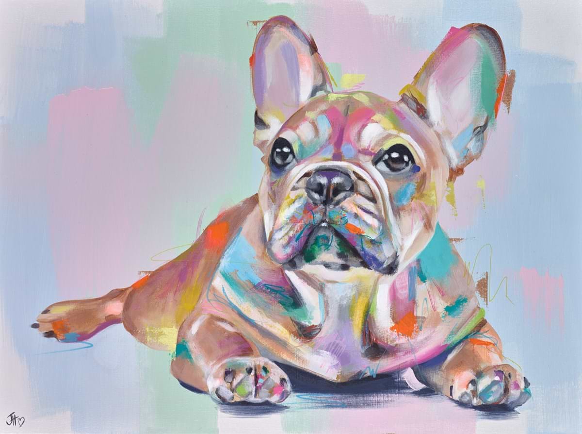 Frenchie Affection