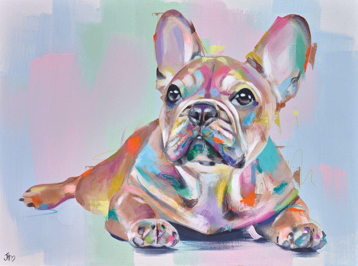 Frenchie Affection